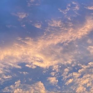 Meet your Posher, Sofie